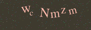 Validation image