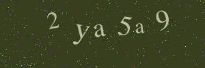 Validation image